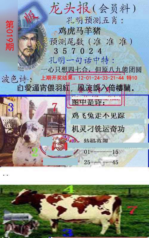 2025019期龙头报