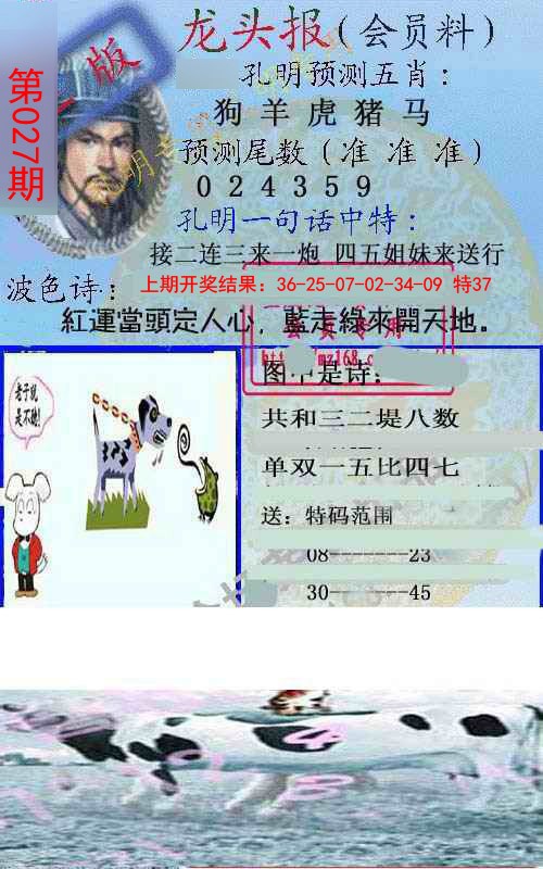 2025027期龙头报