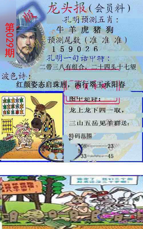 2025029期龙头报