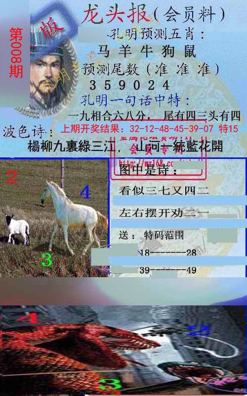 2025008期龙头报