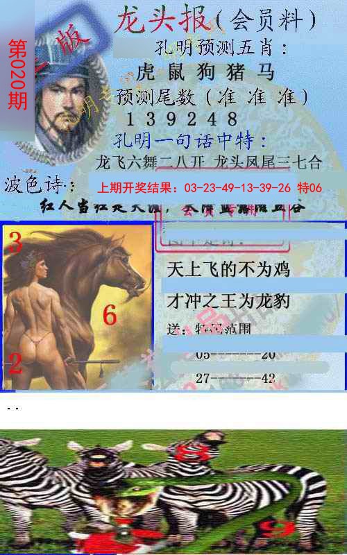 2025020期龙头报