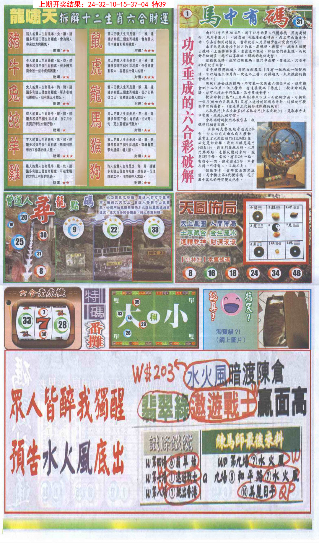 2025013期新报跑狗B