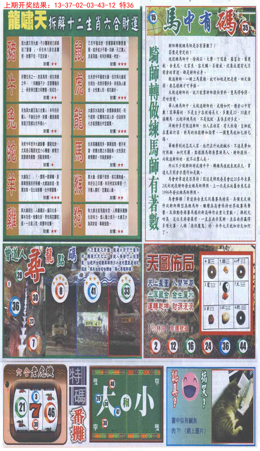 2025016期新报跑狗B