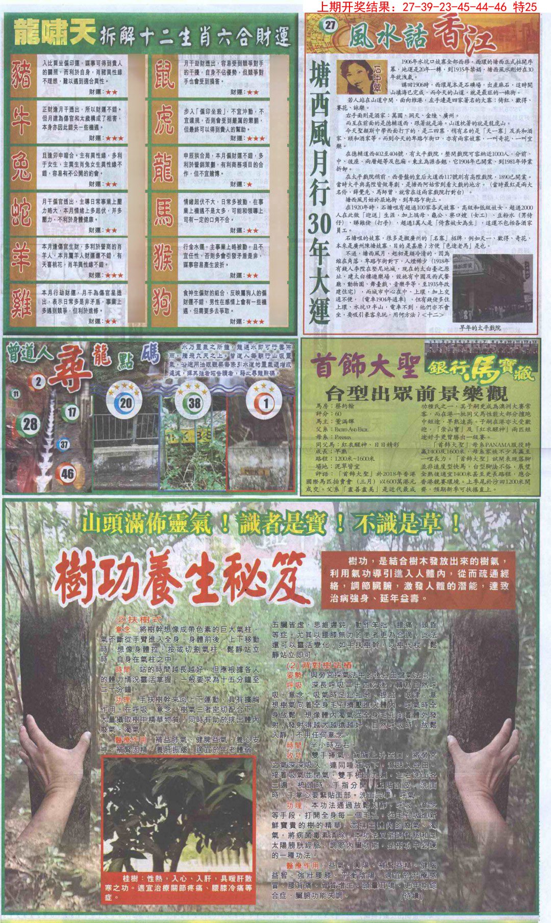 2025031期新报跑狗B