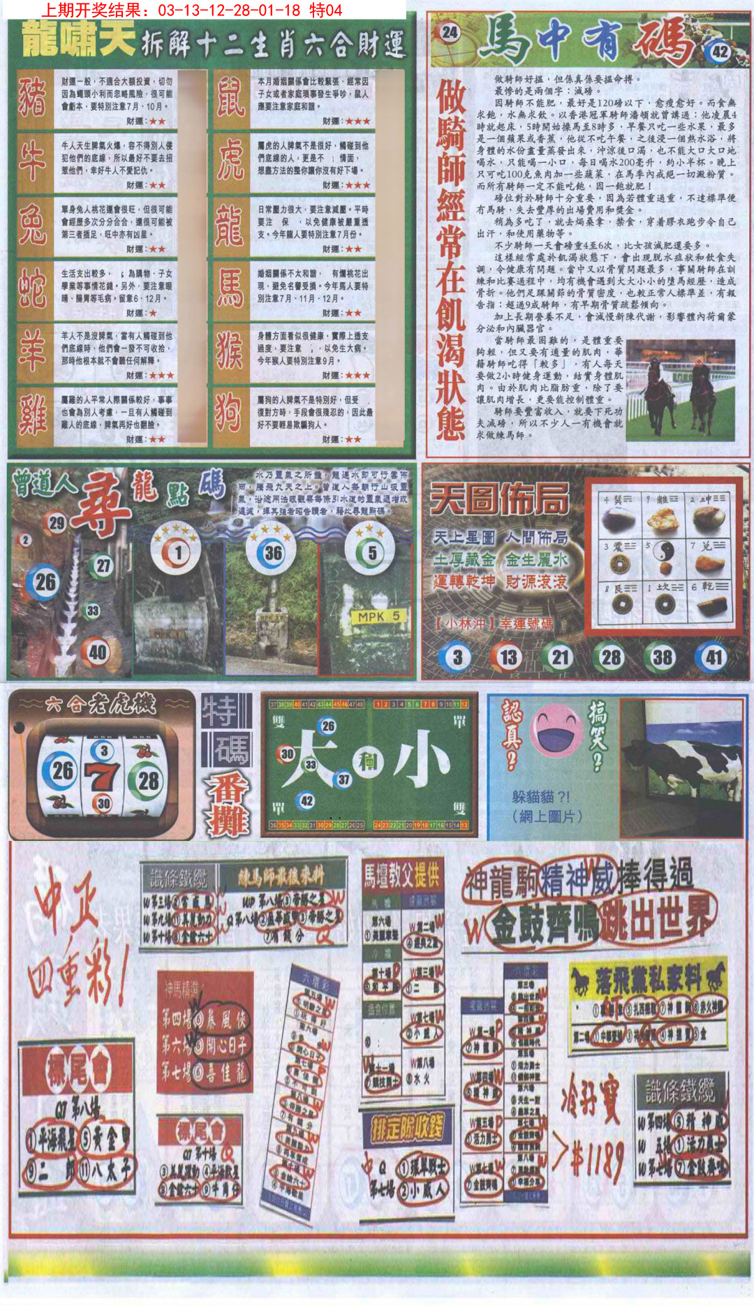 2025007期新报跑狗B