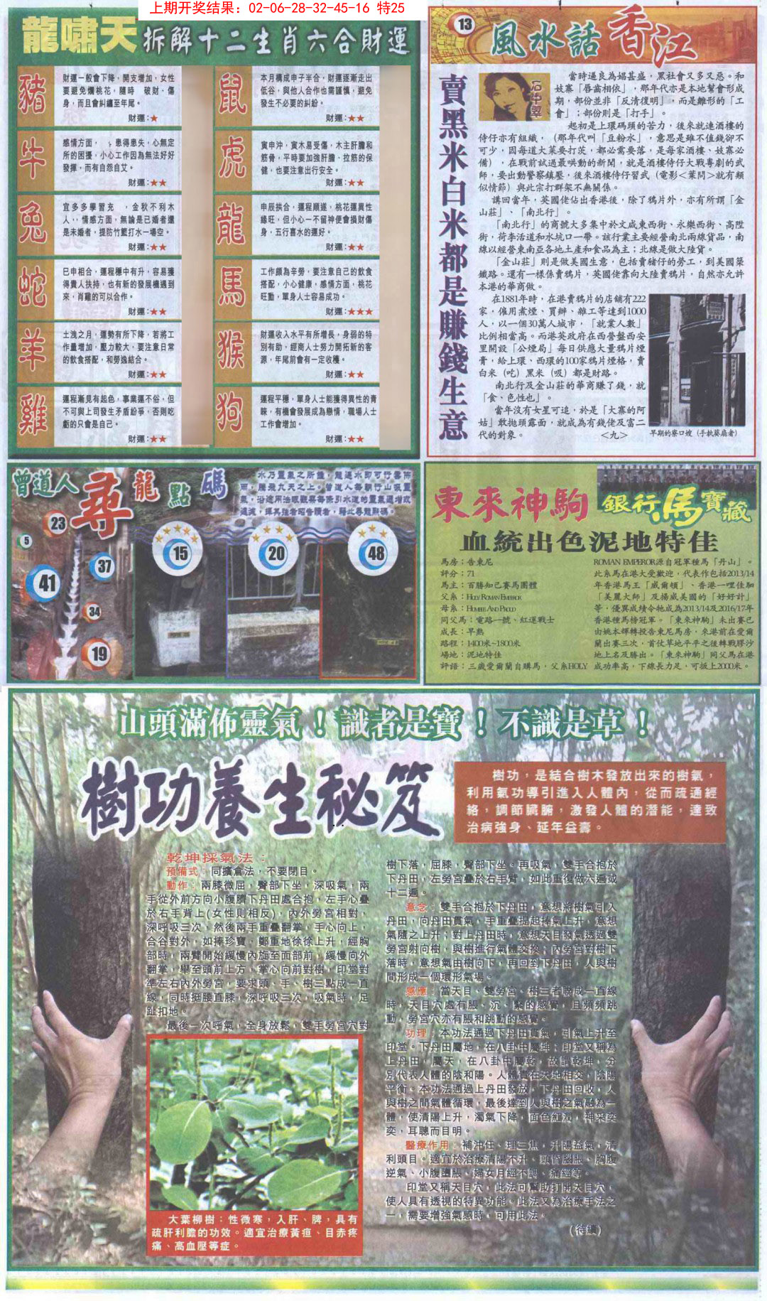 2025028期新报跑狗B