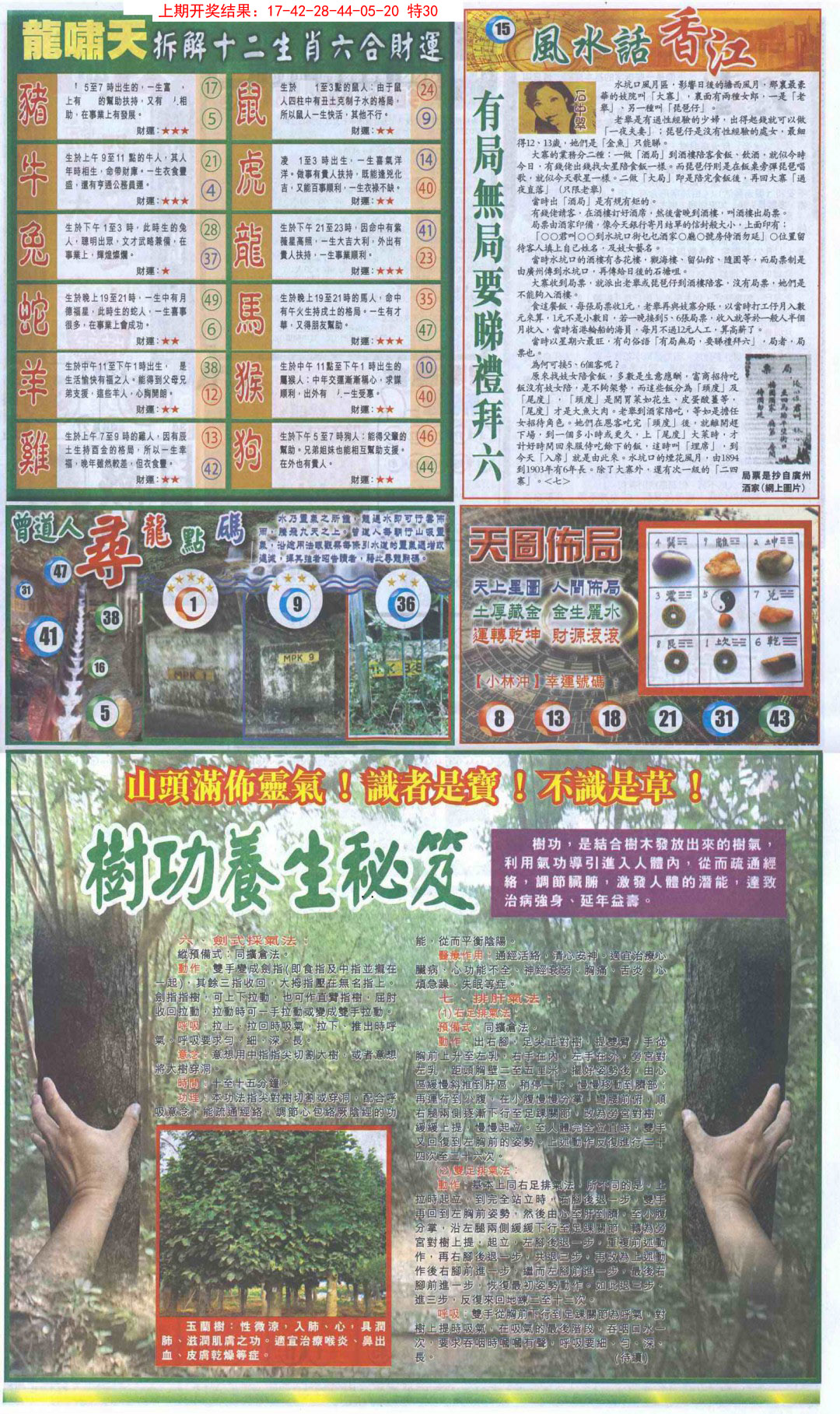 2025026期新报跑狗B