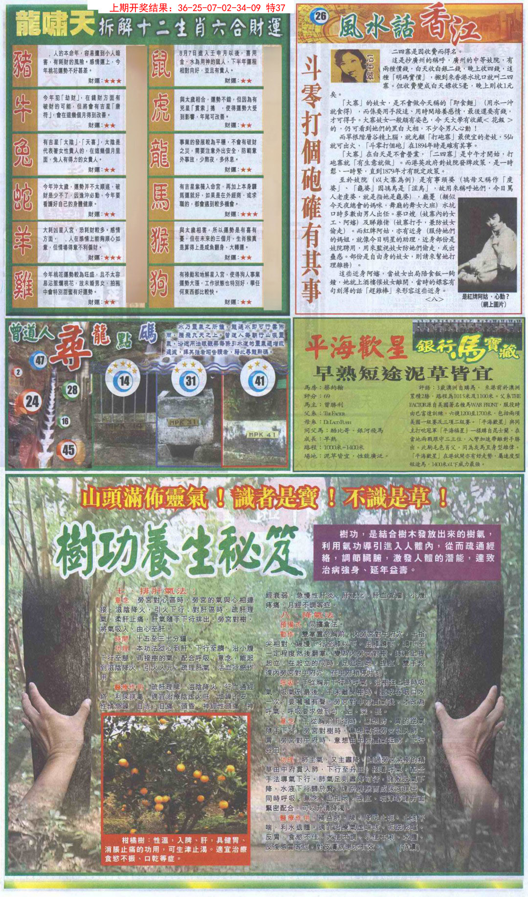 2025027期新报跑狗B