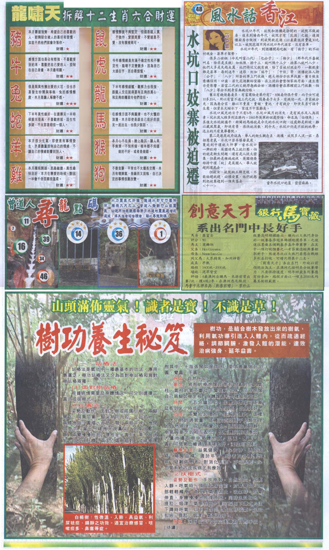 2025030期新报跑狗B