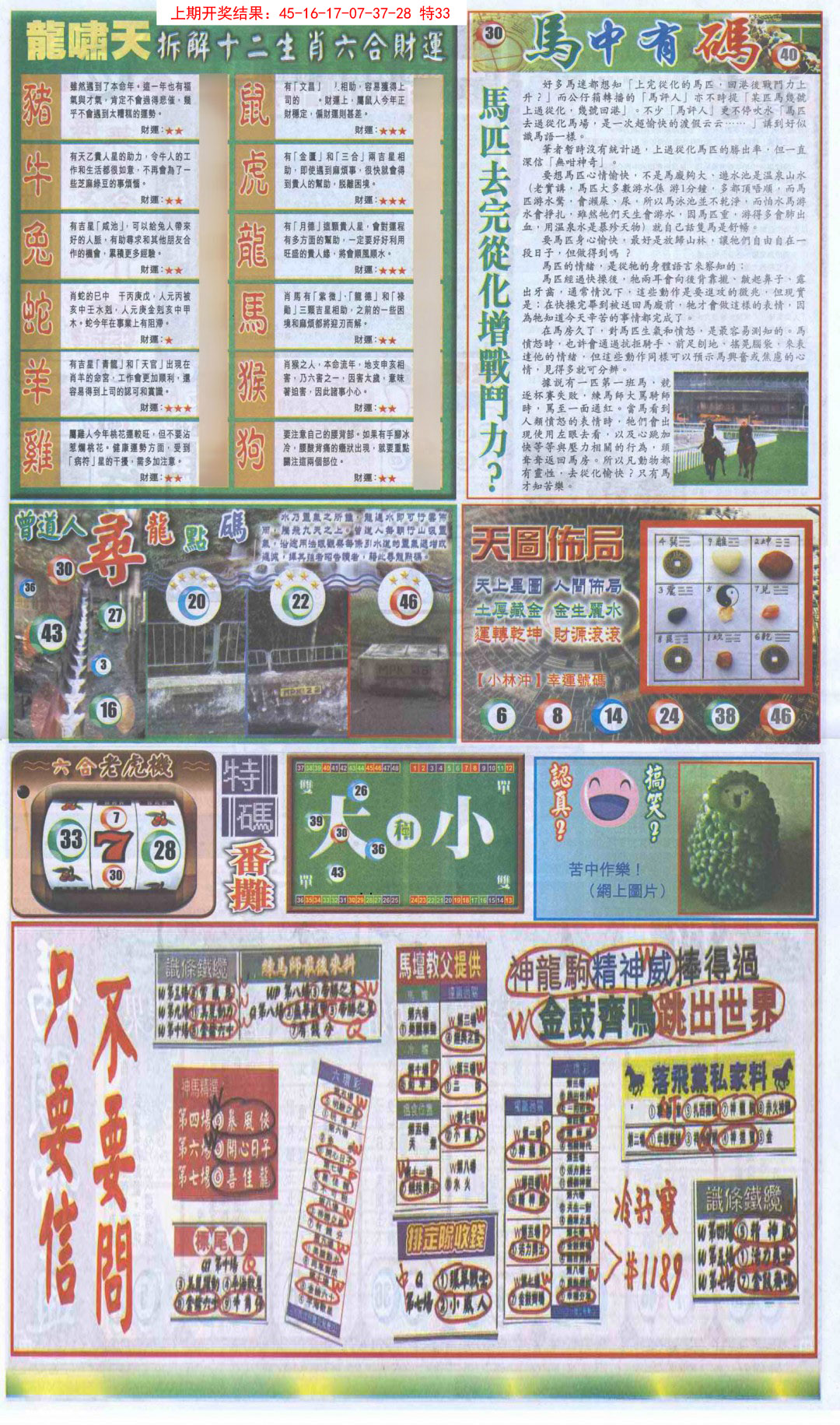 2025005期新报跑狗B
