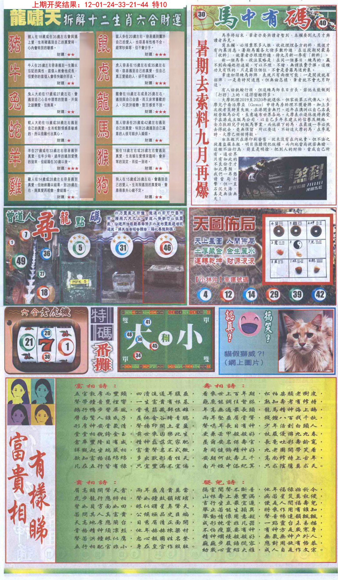 2025019期新报跑狗B