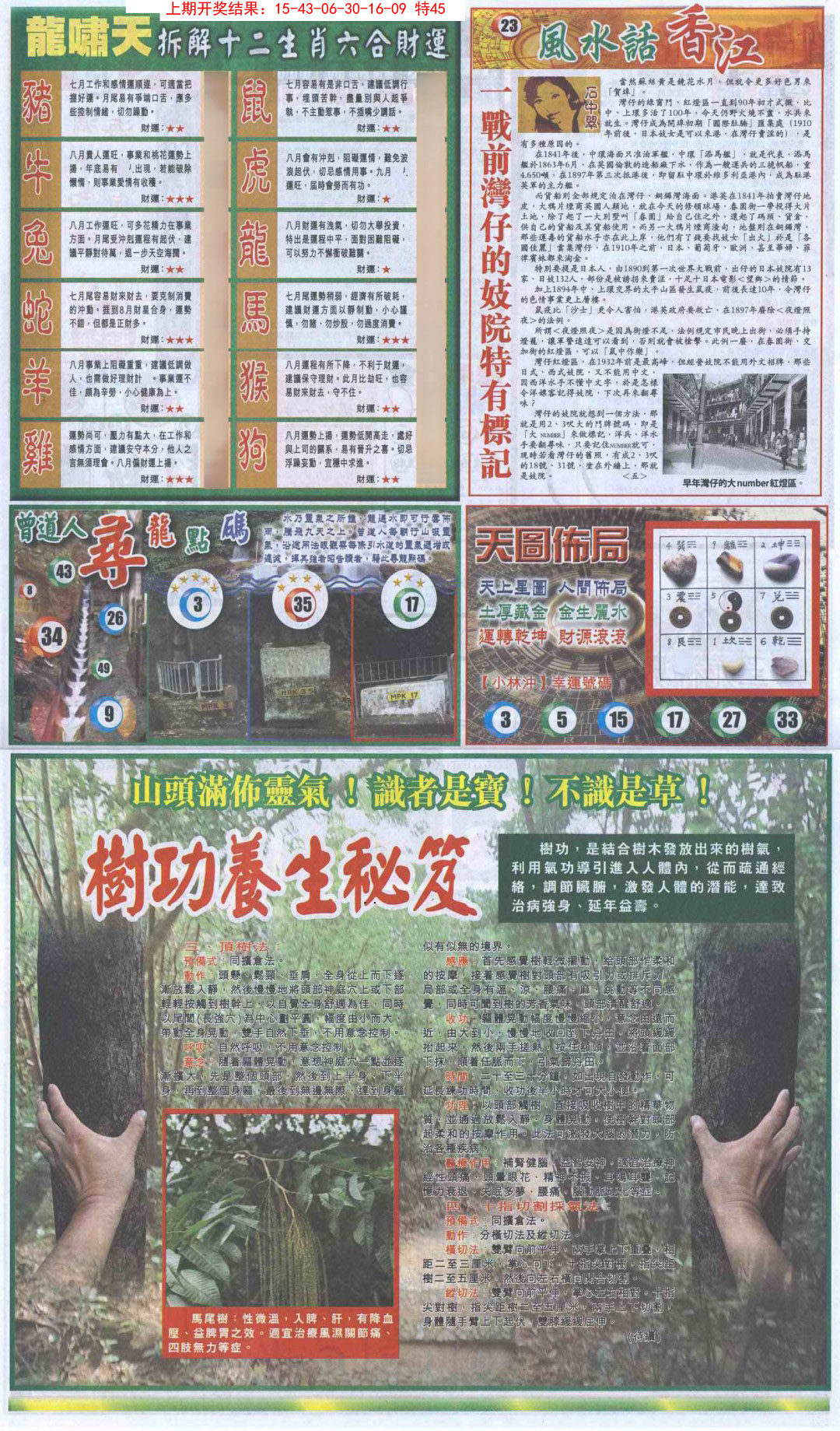 2025024期新报跑狗B