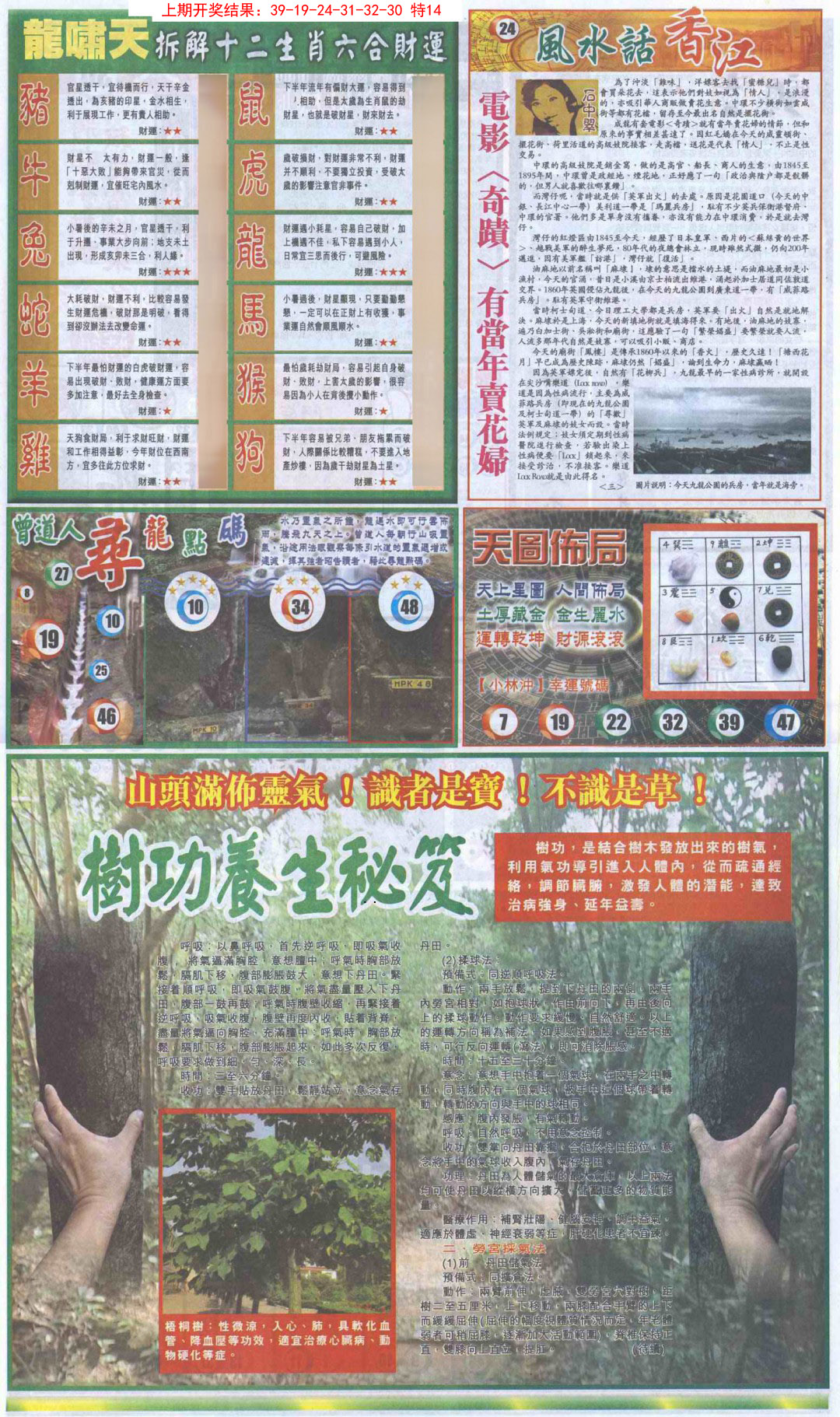 2025022期新报跑狗B