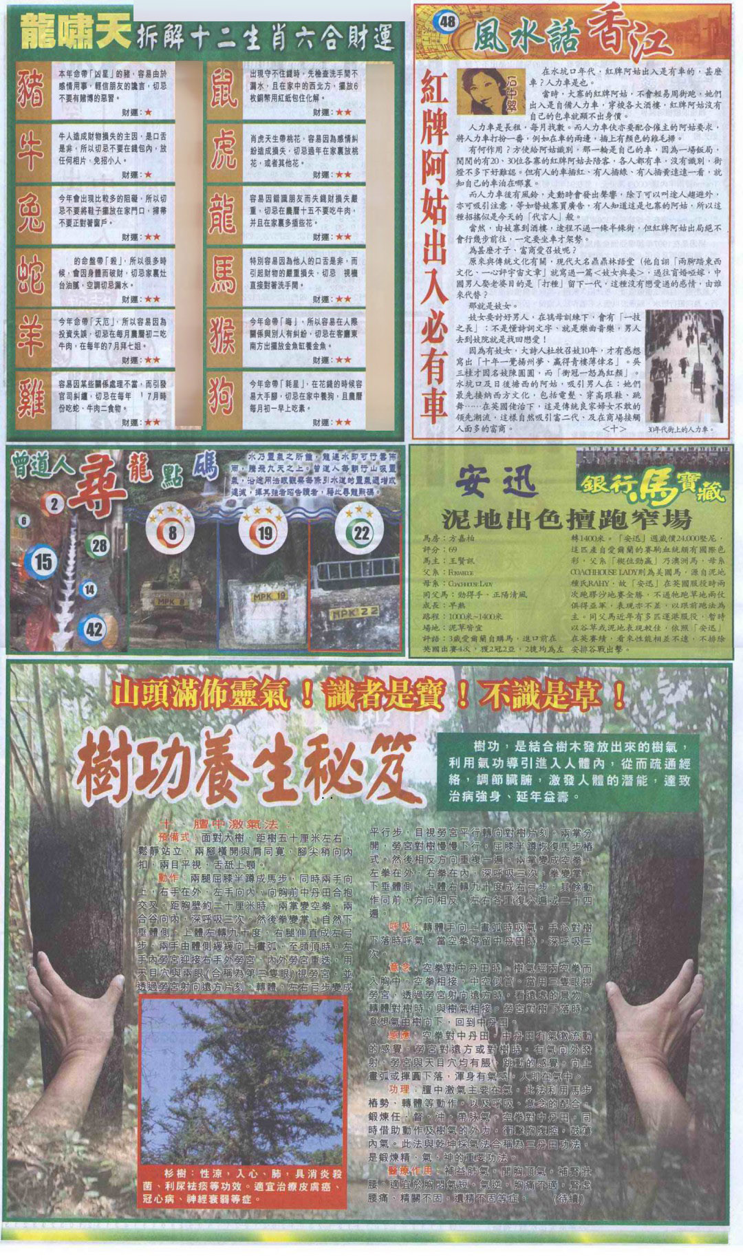 2025029期新报跑狗B