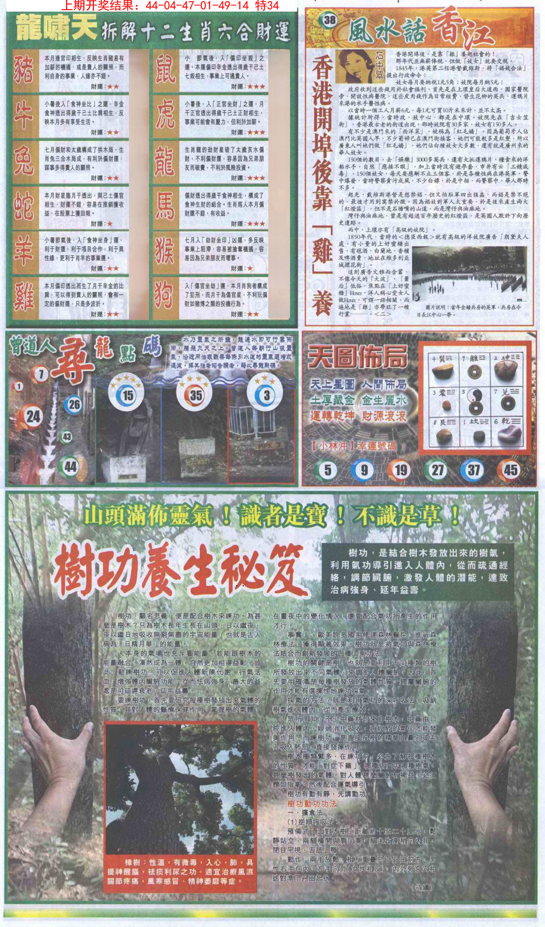 2025021期新报跑狗B