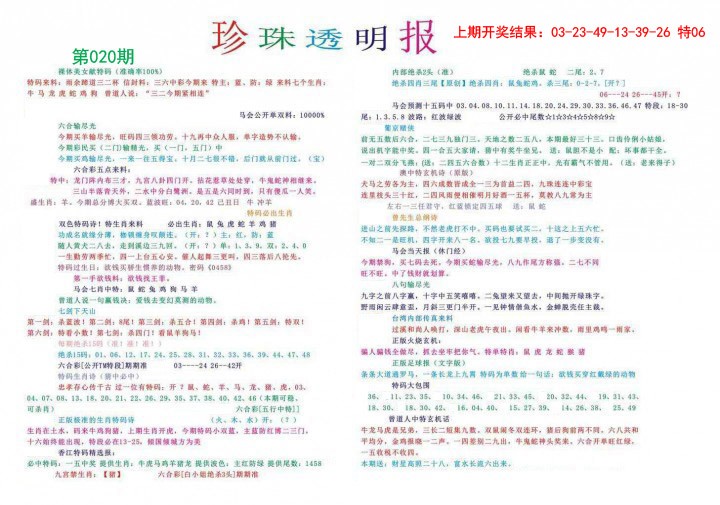 2025020期珍珠透明报