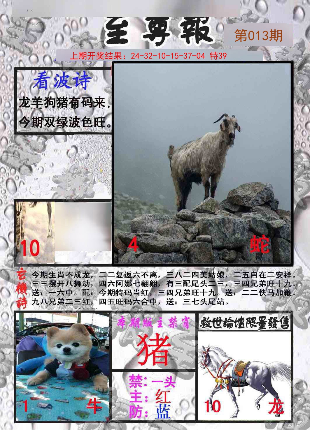 2025013期至尊报