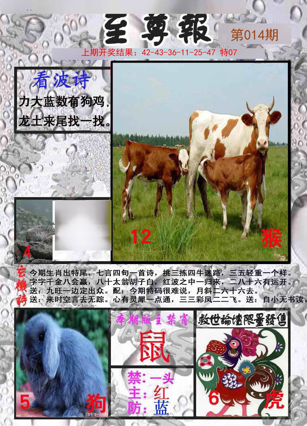 2025014期至尊报