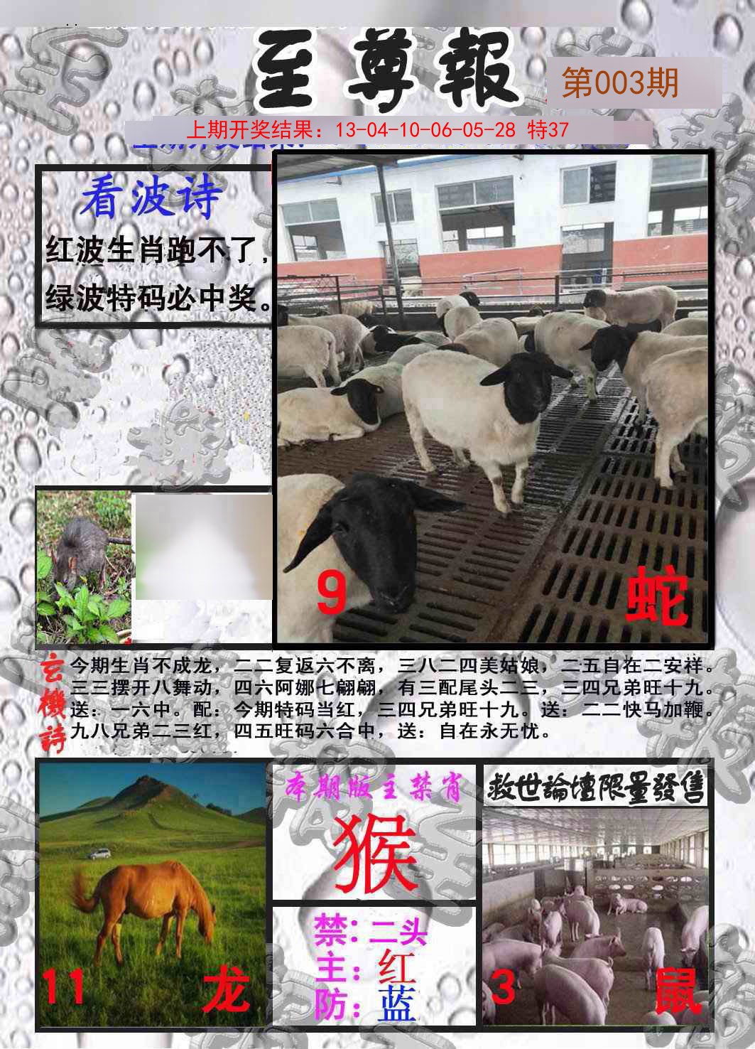 2025003期至尊报