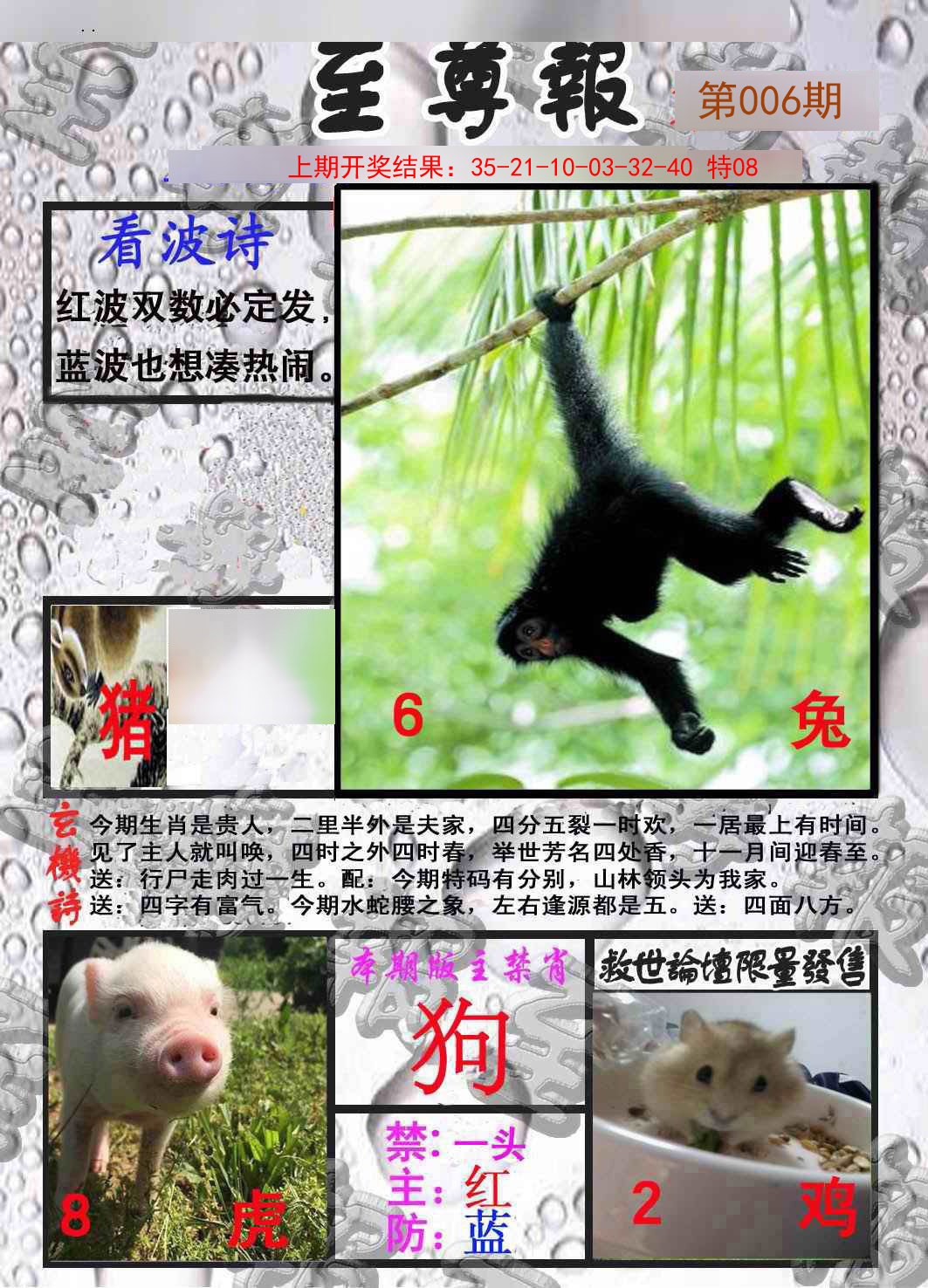 2025006期至尊报