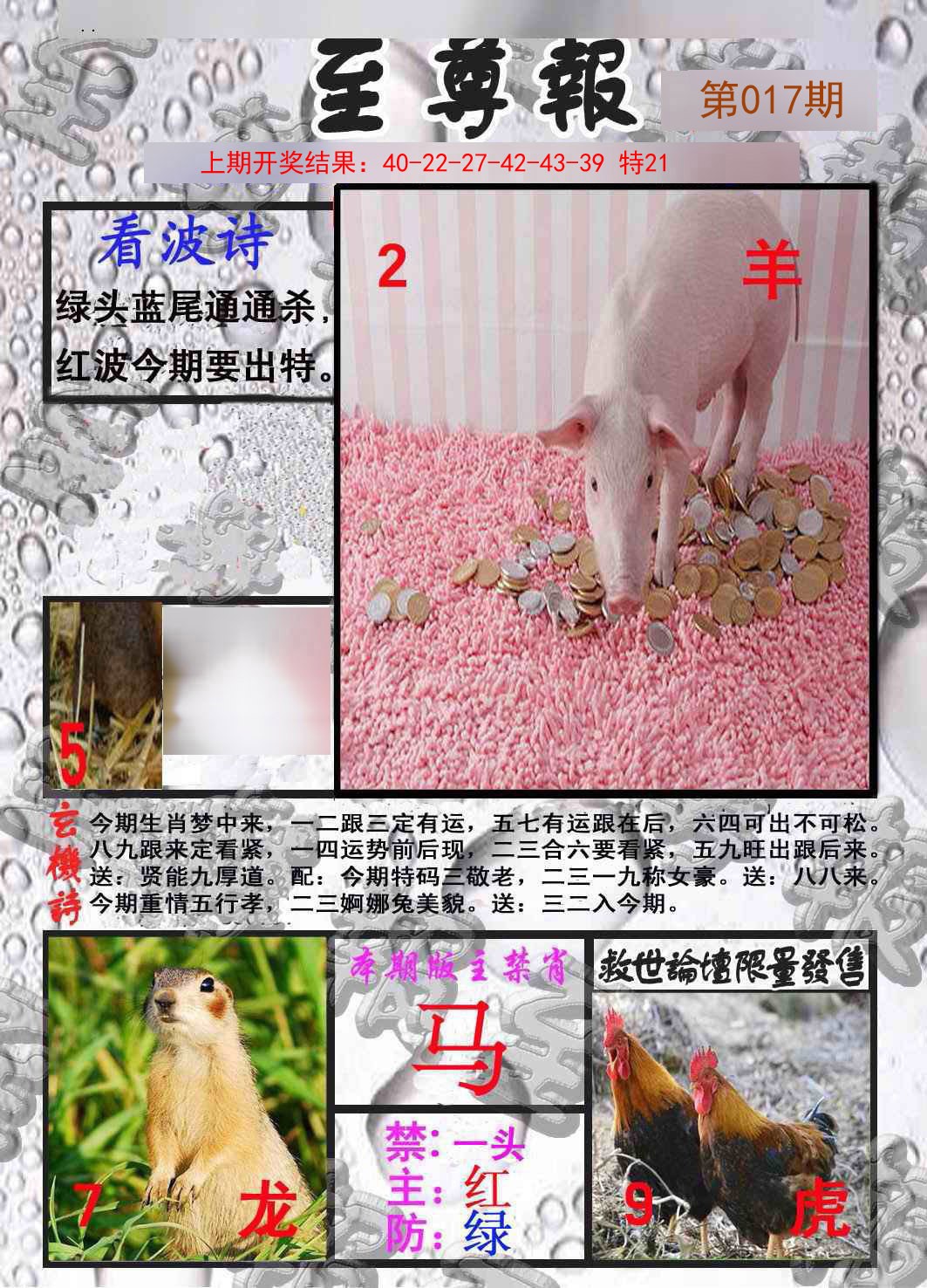 2025017期至尊报