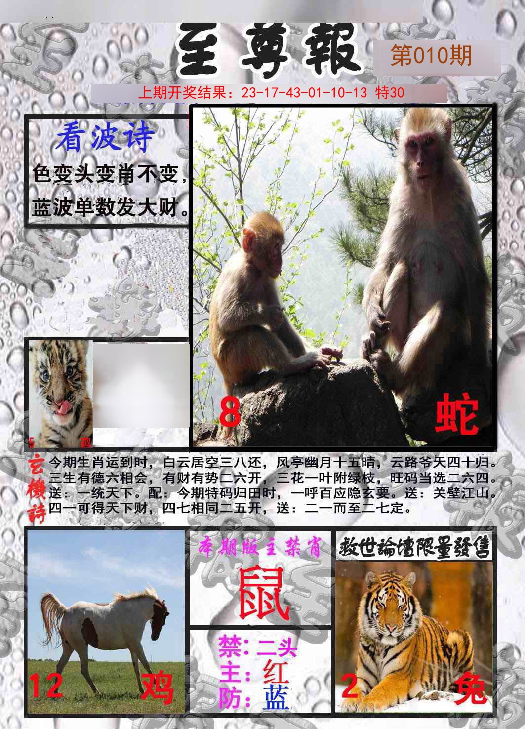2025010期至尊报