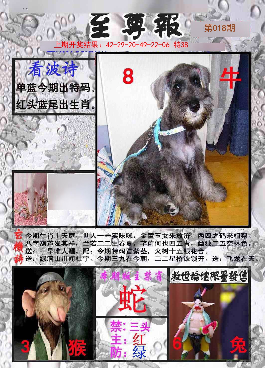 2025018期至尊报