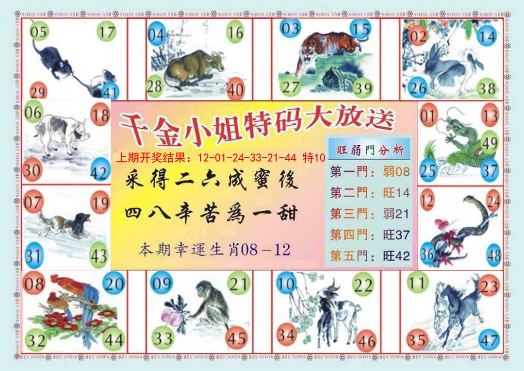 2025019期(新版)千金小姐B