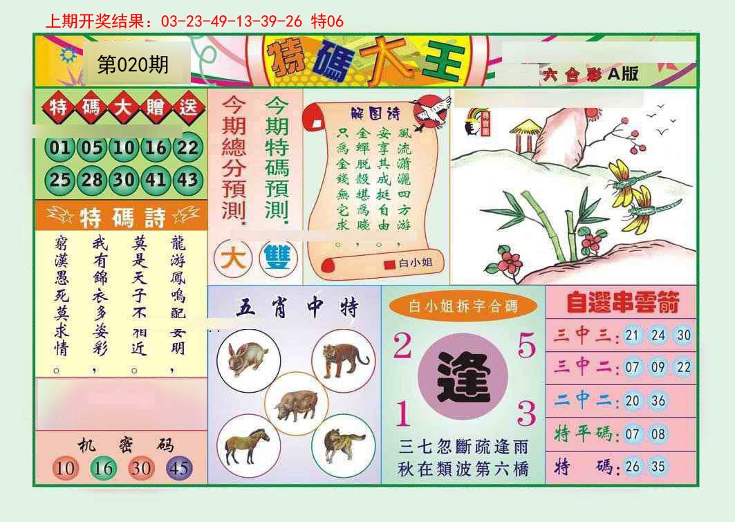 2025020期特码大王A