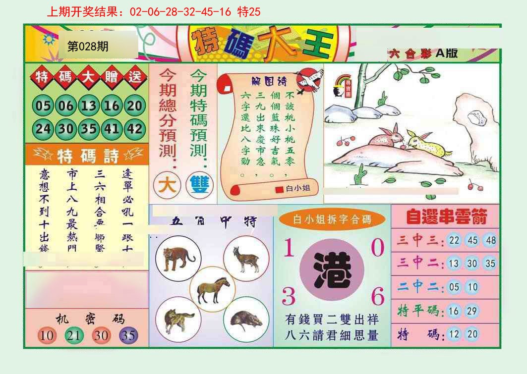 2025028期特码大王A