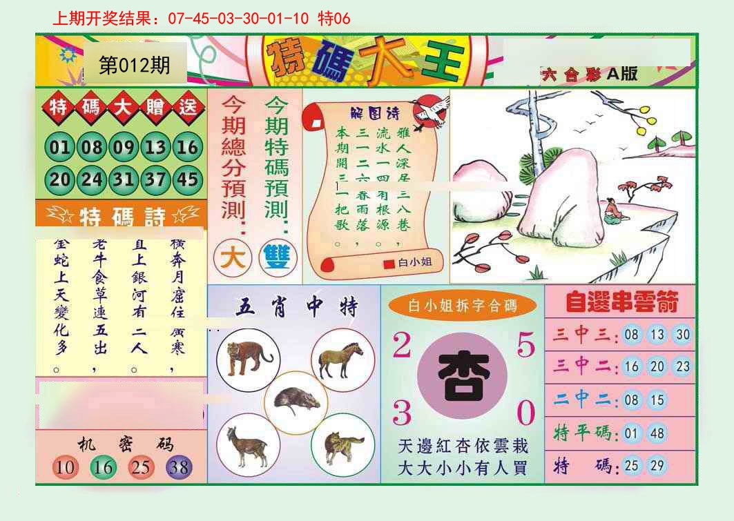 2025012期特码大王A