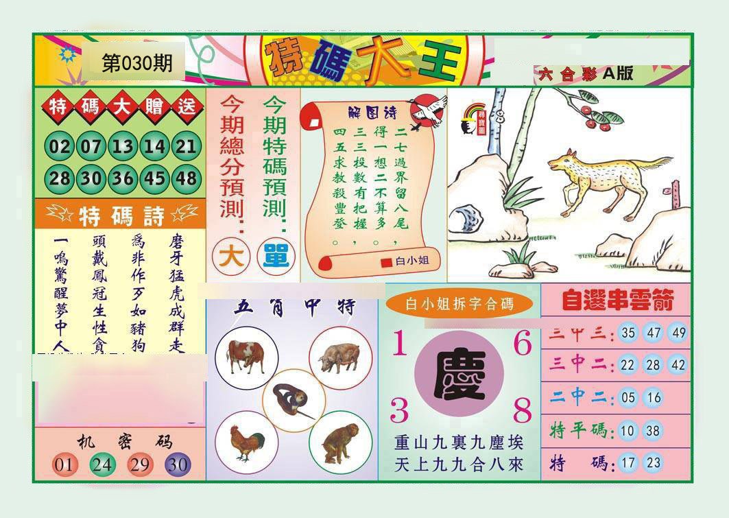 2025030期特码大王A