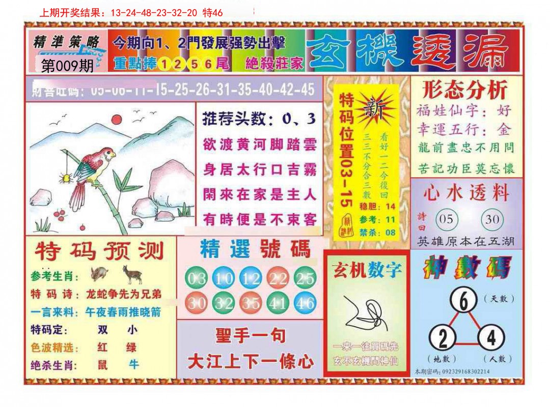 2025009期玄机透漏