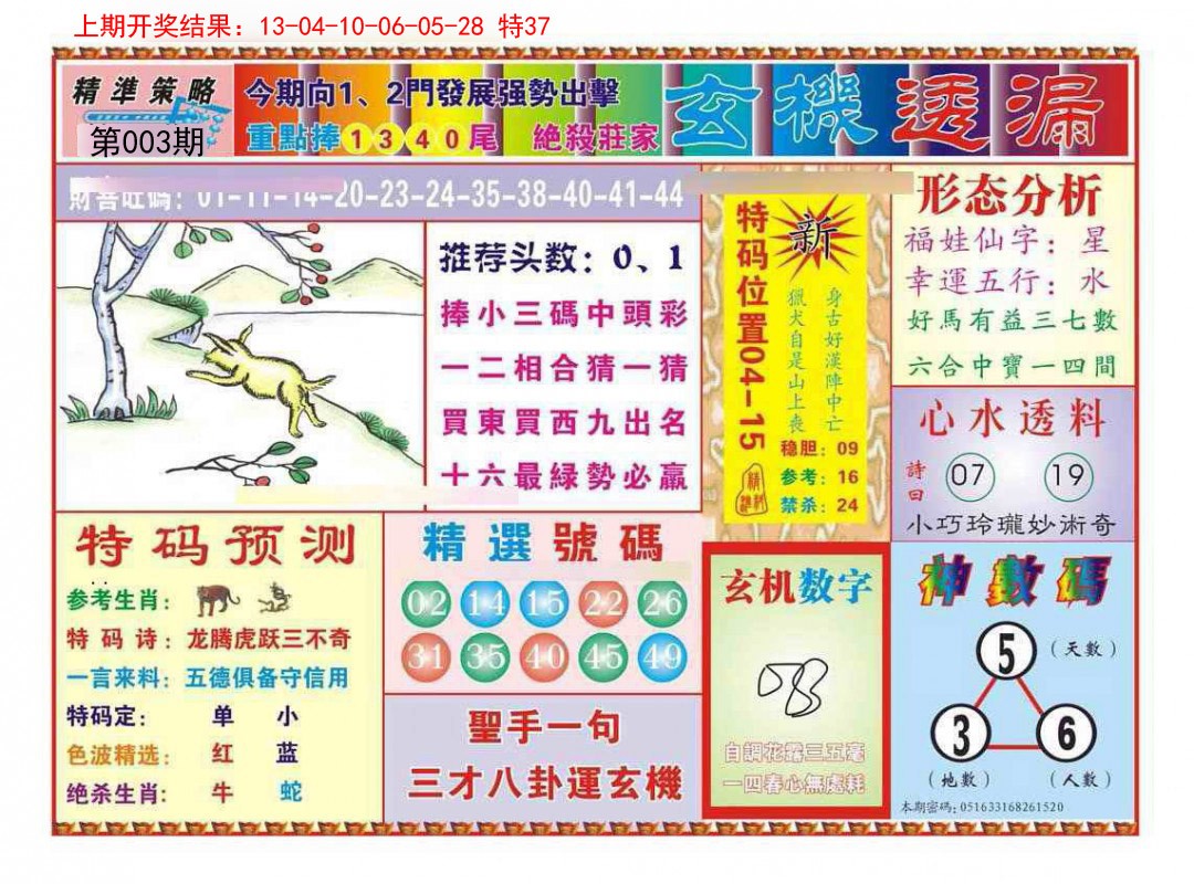 2025003期玄机透漏