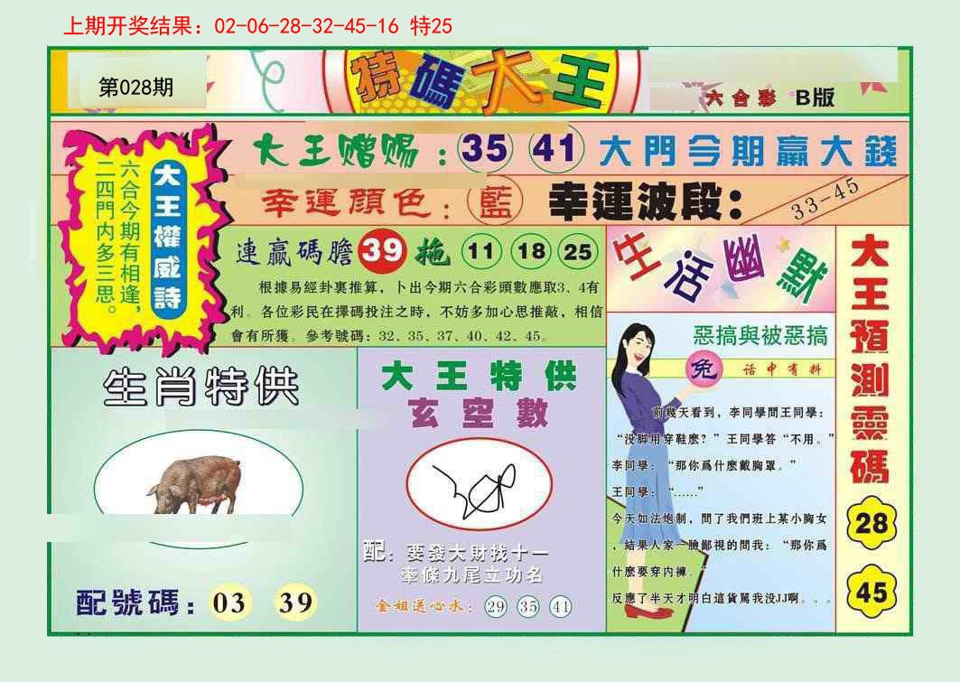 2025028期特码大王B