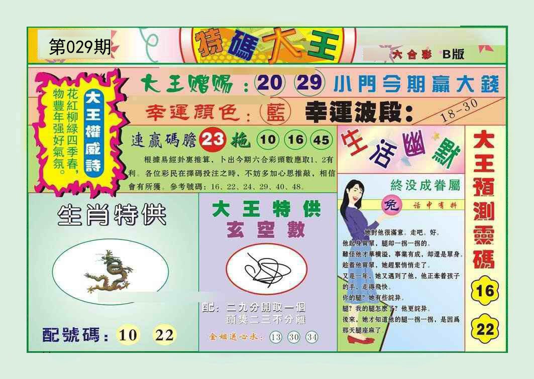 2025029期特码大王B