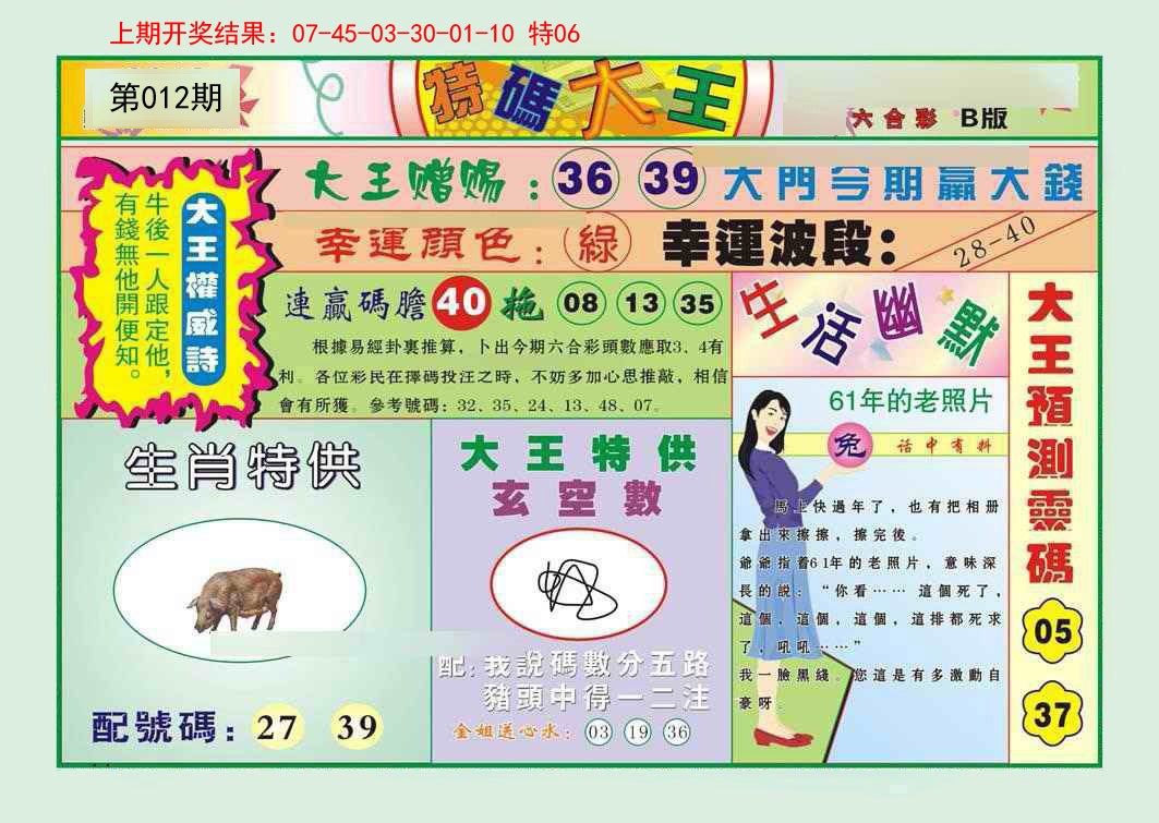 2025012期特码大王B