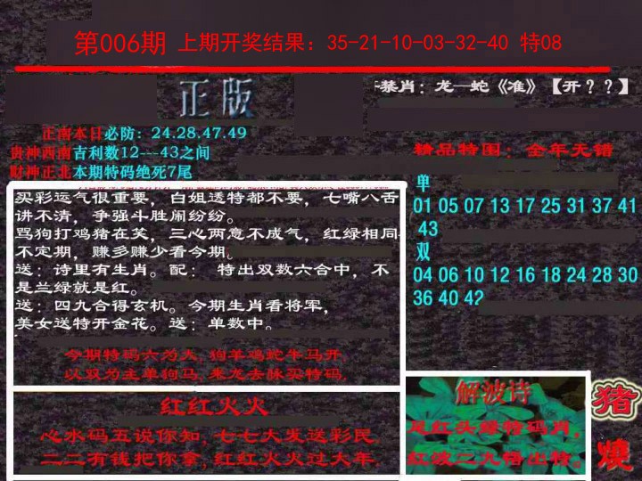 2025006期新港内幕