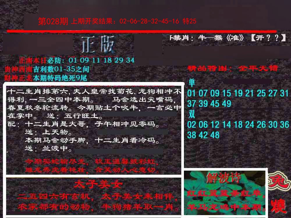 2025028期新港内幕