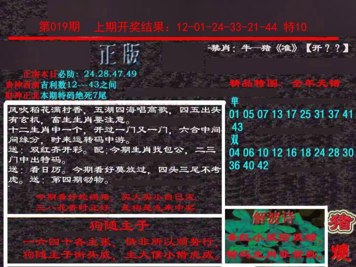 2025019期新港内幕