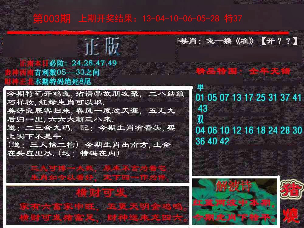 2025003期新港内幕