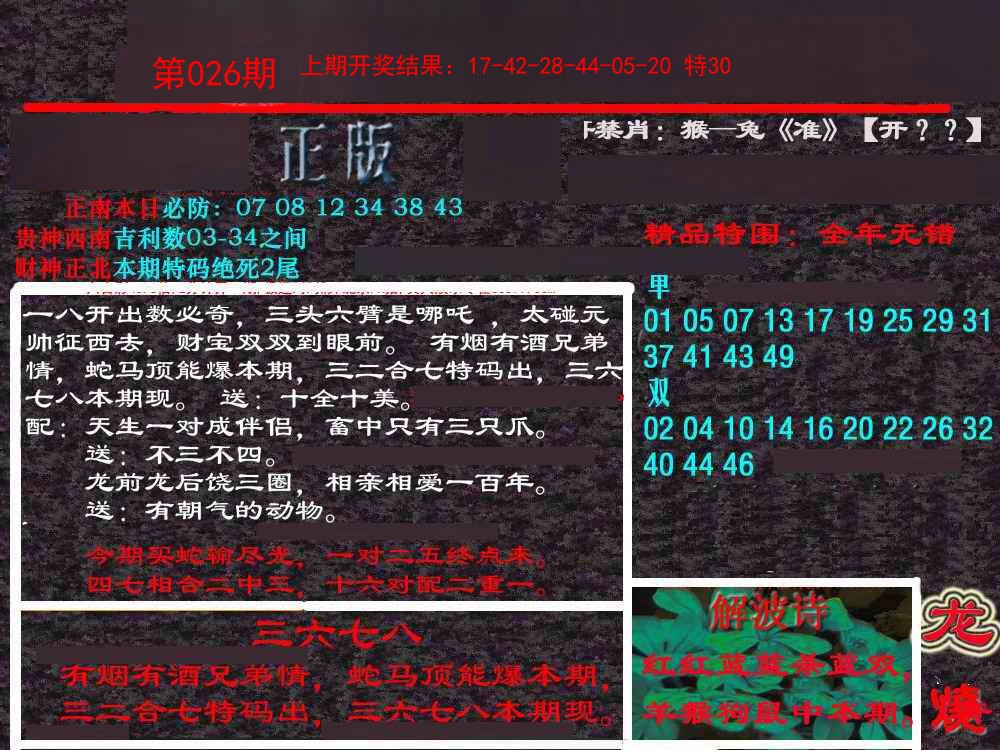 2025026期新港内幕