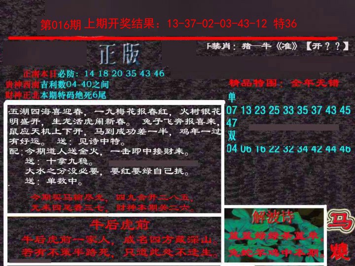 2025016期新港内幕