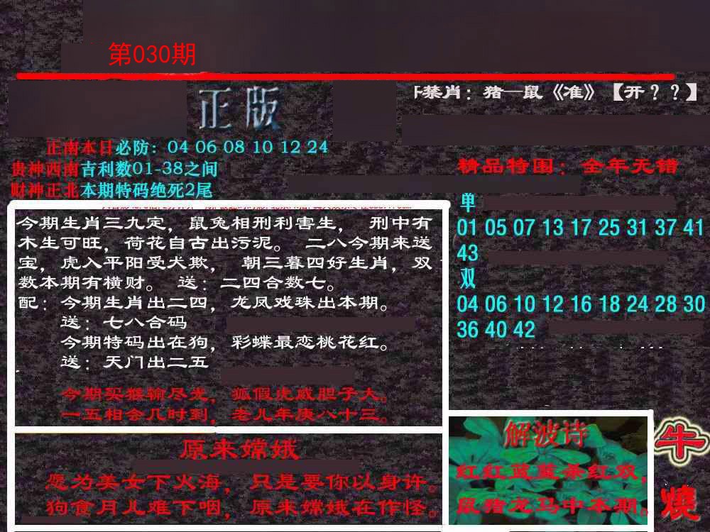 2025030期新港内幕