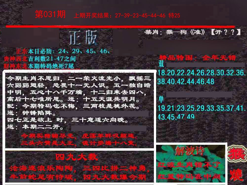 2025031期新港内幕