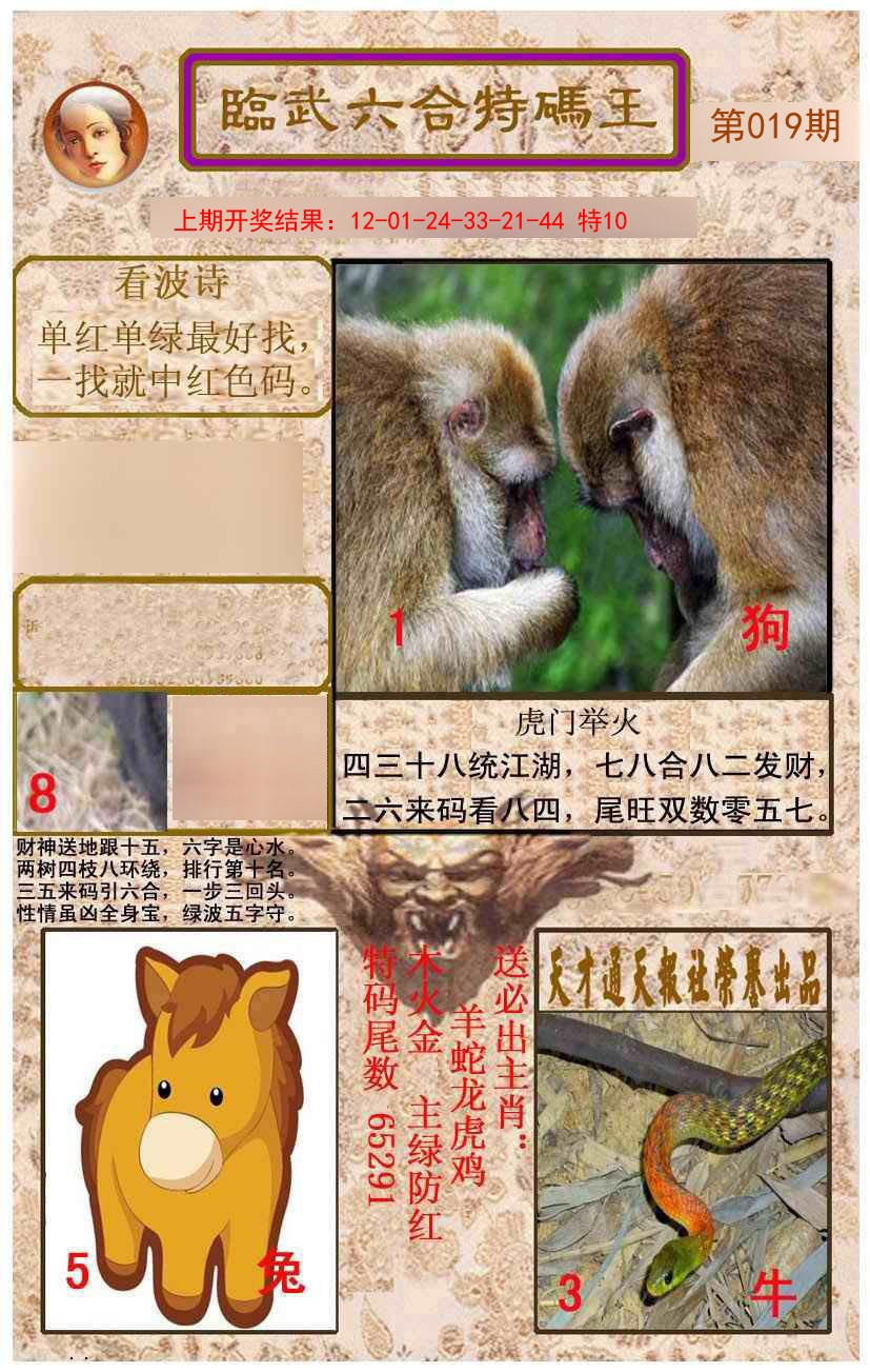 2025019期临武六合特码王