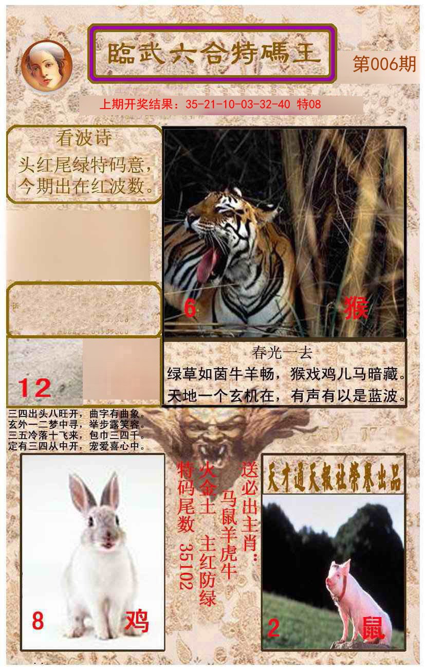 2025006期临武六合特码王