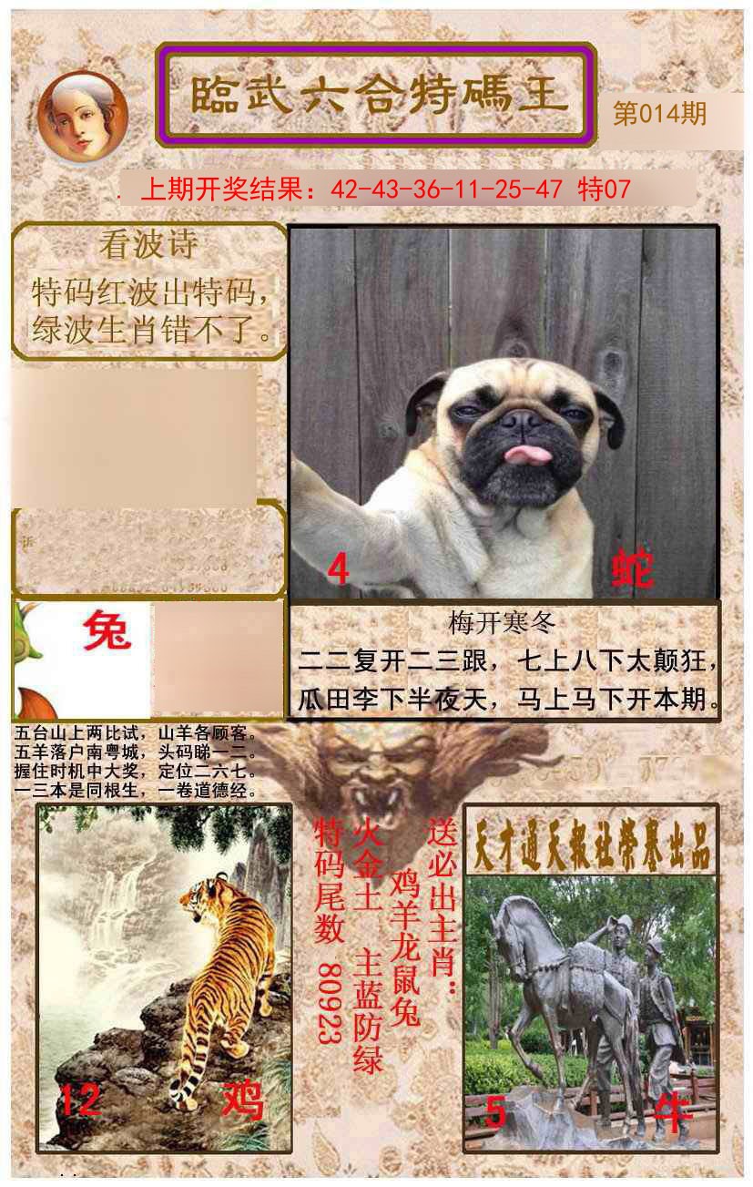 2025014期临武六合特码王