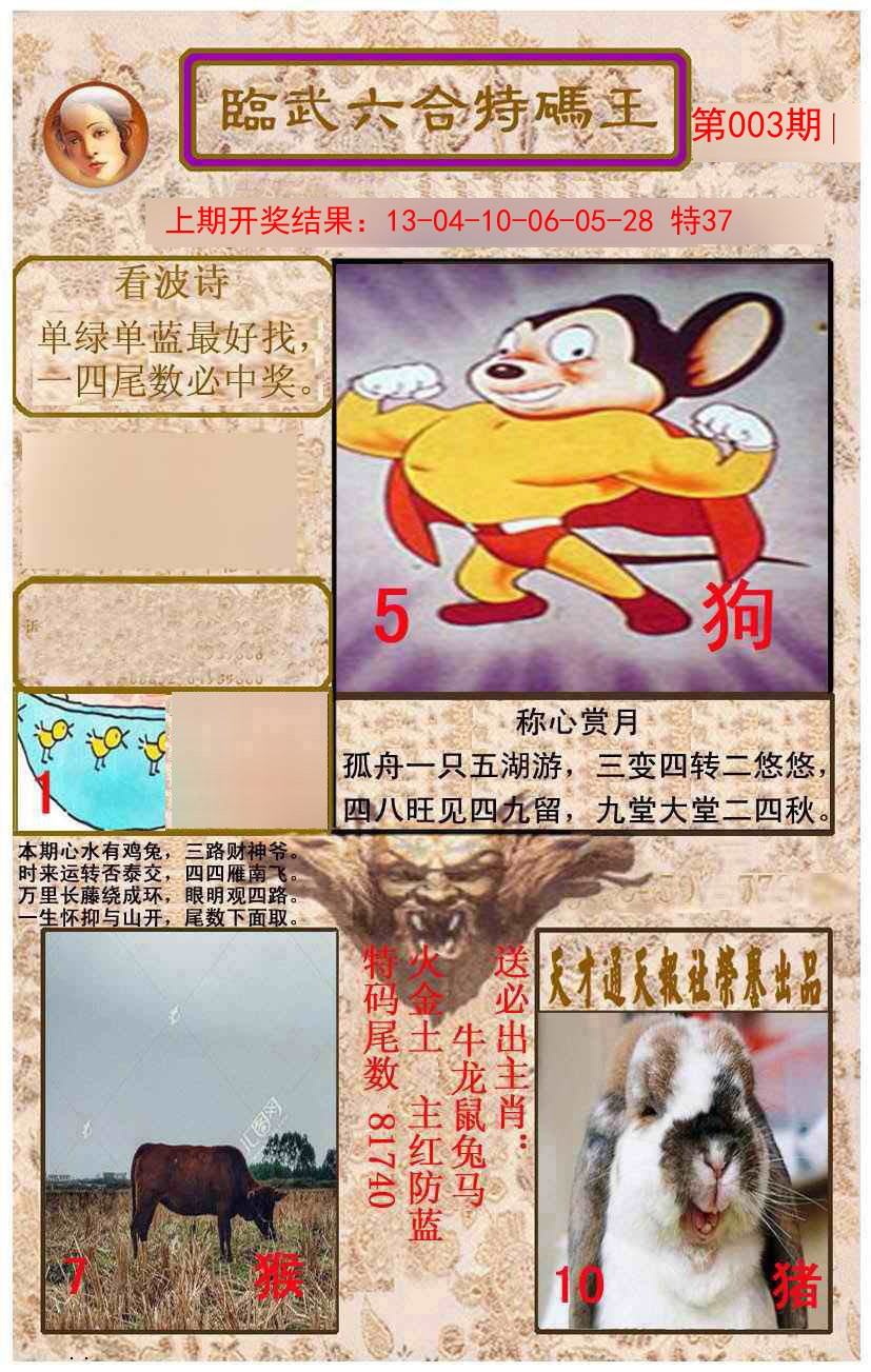 2025003期临武六合特码王