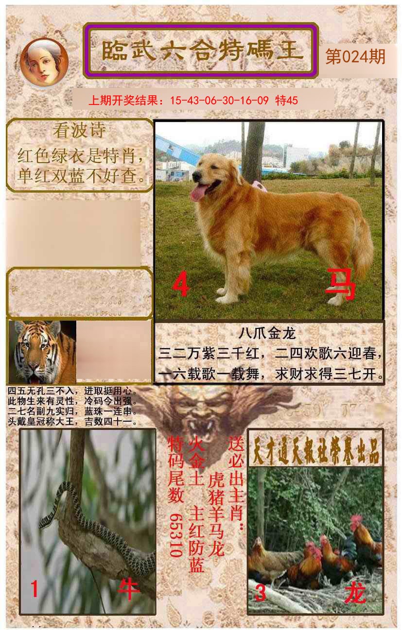 2025024期临武六合特码王